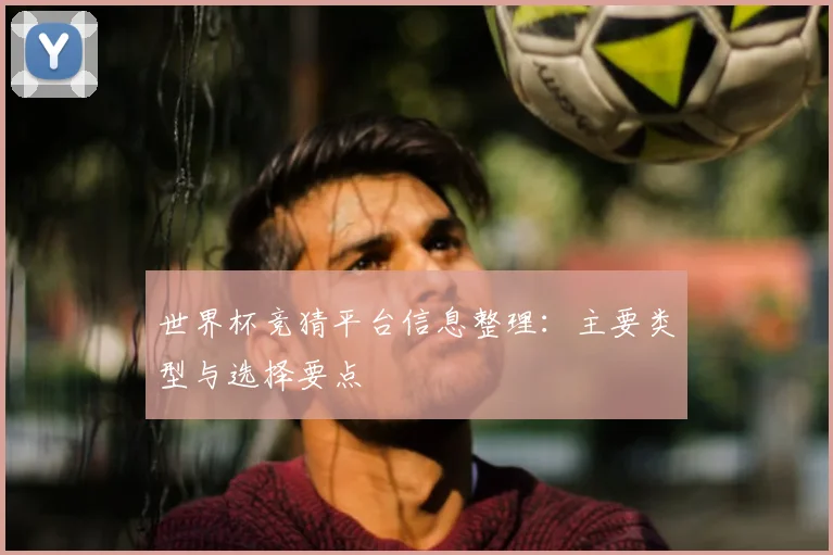 世界杯竞猜平台信息整理:主要类型与选择要点