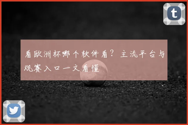 看欧洲杯哪个软件看?主流平台与观赛入口一文看懂