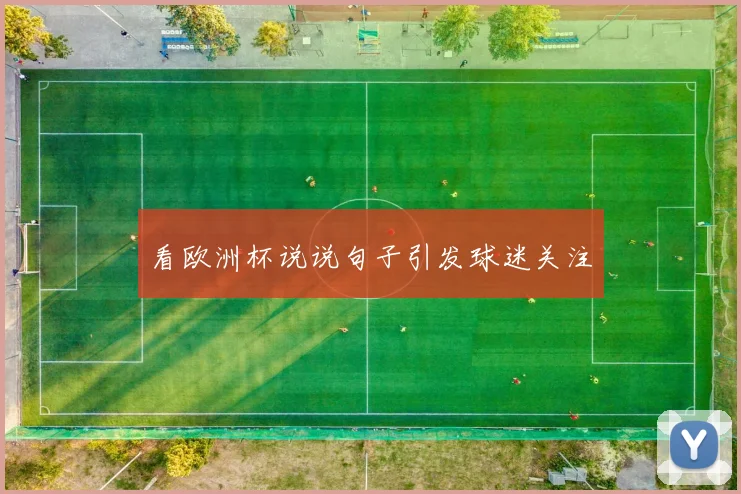 看欧洲杯说说句子引发球迷关注