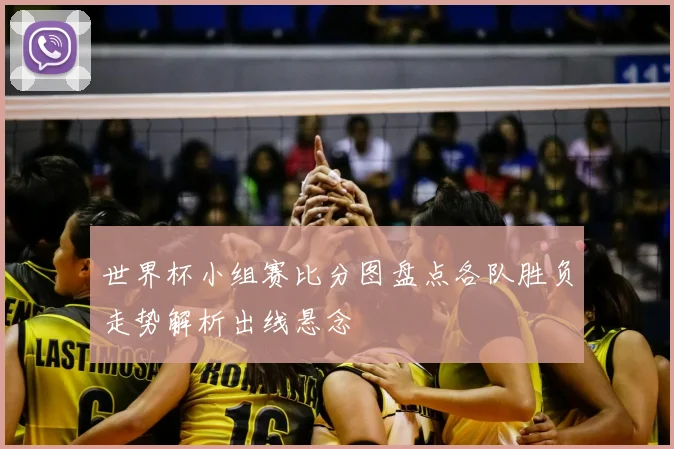 世界杯小组赛比分图盘点各队胜负走势解析出线悬念