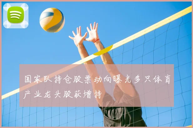 国家队持仓股票动向曝光多只体育产业龙头股获增持