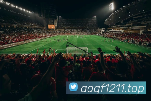 网上世界杯品牌故事