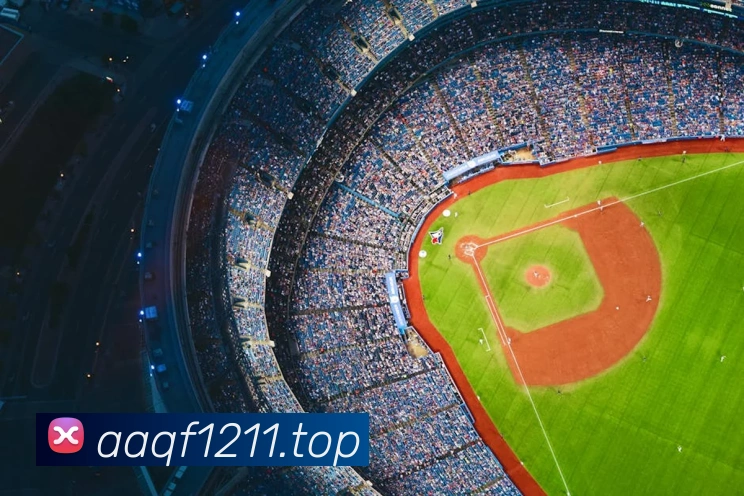 网上世界杯服务体系